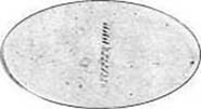 L-A-LUCOBA-02